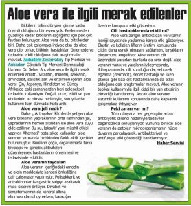 Akşam Haberleri Gazetesi (Sakarya)